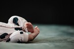 Zwangerschap/new born